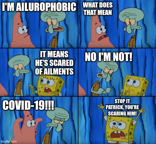 phobias have dumb names | WHAT DOES THAT MEAN; I'M AILUROPHOBIC; IT MEANS HE'S SCARED OF AILMENTS; NO I'M NOT! STOP IT PATRICK, YOU'RE SCARING HIM! COVID-19!!! | image tagged in stop it patrick you're scaring him correct text boxes | made w/ Imgflip meme maker