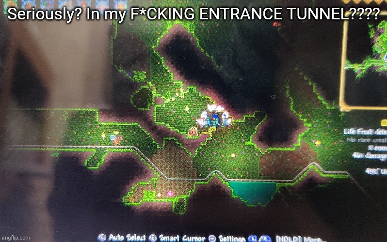 I came down here thinking I'll have to do a ton of digging looking for the bulb again but NOPE. Now the game makes it easy. | Seriously? In my F*CKING ENTRANCE TUNNEL???? | made w/ Imgflip meme maker