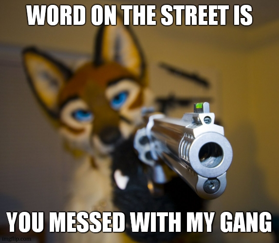 Furry with gun | WORD ON THE STREET IS; YOU MESSED WITH MY GANG | image tagged in furry with gun | made w/ Imgflip meme maker