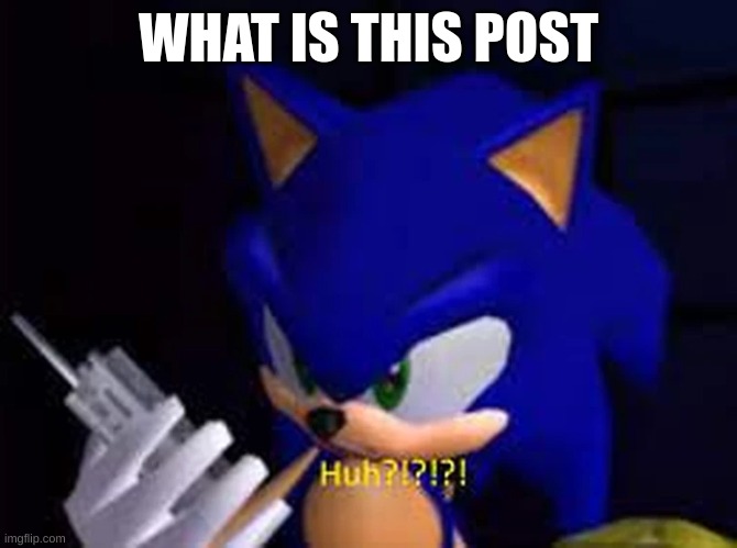 sonic huh | WHAT IS THIS POST | image tagged in sonic huh | made w/ Imgflip meme maker