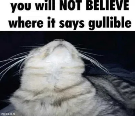 unintelligible femt noises | made w/ Imgflip meme maker