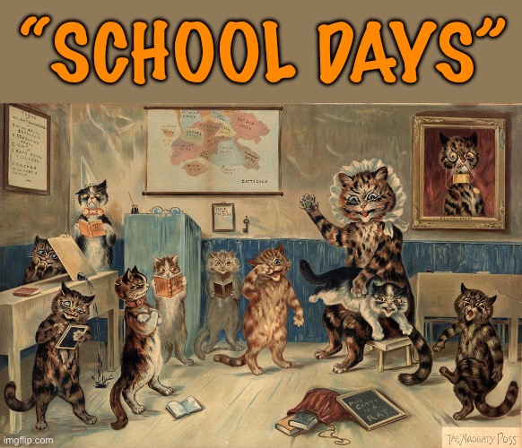 The teacher always had her paws full with some of these students… | “SCHOOL DAYS” | made w/ Imgflip meme maker