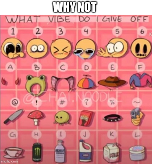 why not lmao | WHY NOT | image tagged in what vibe do i give off | made w/ Imgflip meme maker