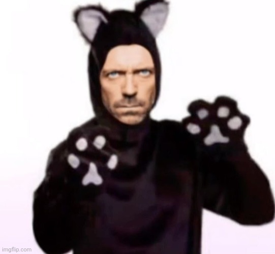 cat suit house m.d. | image tagged in cat suit house m d | made w/ Imgflip meme maker