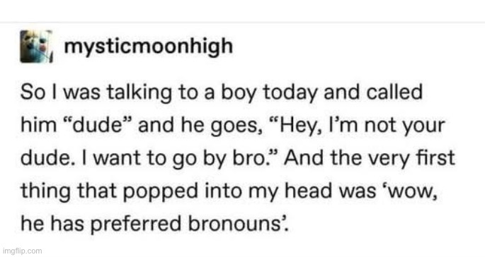 Bronouns | image tagged in bronouns,pronouns | made w/ Imgflip meme maker