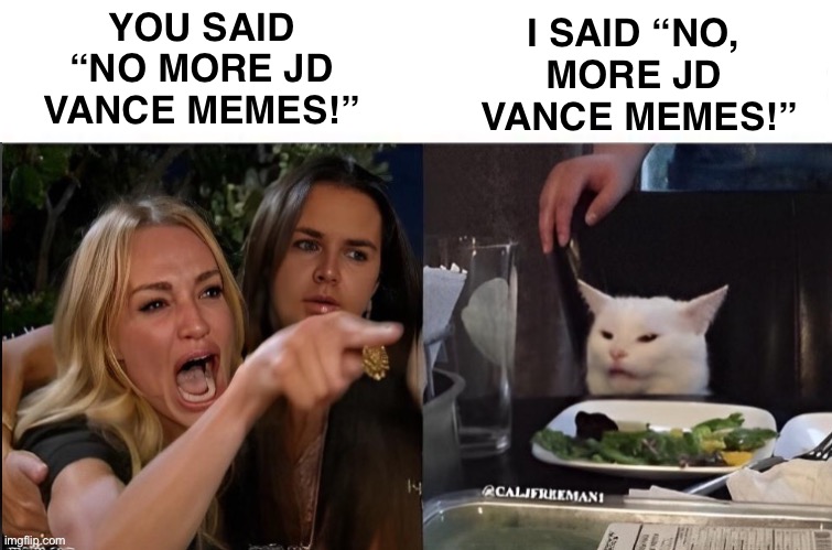 I SAID “NO, 
MORE JD 
VANCE MEMES!”; YOU SAID “NO MORE JD VANCE MEMES!” | image tagged in woman yelling at cat,woman yelling at a cat,woman yelling at white cat,maga,president trump,elon musk | made w/ Imgflip meme maker