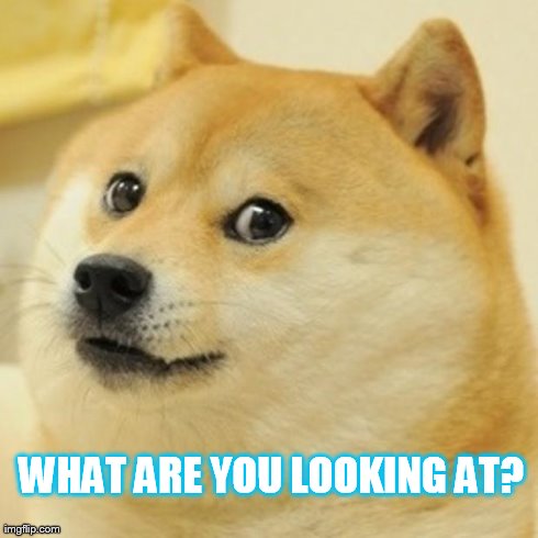 Doge | WHAT ARE YOU LOOKING AT? | image tagged in memes,doge | made w/ Imgflip meme maker