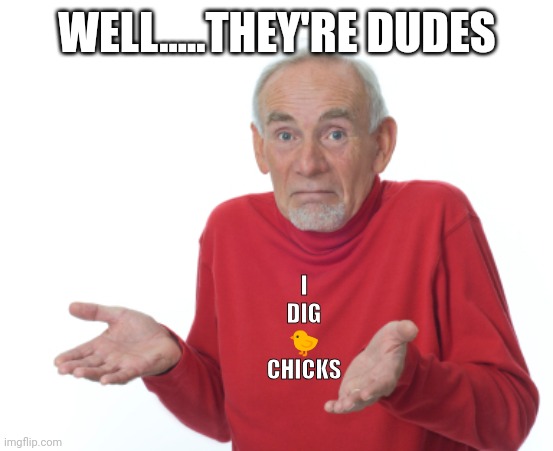 Guess I'll die  | WELL.....THEY'RE DUDES I
DIG
?
CHICKS | image tagged in guess i'll die | made w/ Imgflip meme maker