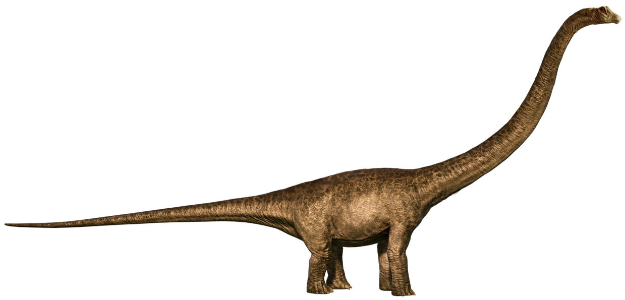 Mamenchisaurus 2 (TLW Design) Blank Meme Template
