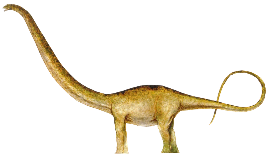 Mamenchisaurus 3 (TLW Design) Blank Meme Template