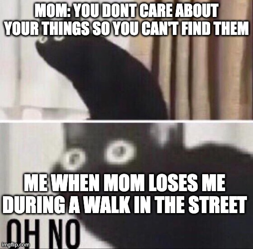 Oh no... OH NO NO NO NOOOOO!!!!!!!!!!!!!!!!!!!!! | MOM: YOU DONT CARE ABOUT YOUR THINGS SO YOU CAN'T FIND THEM; ME WHEN MOM LOSES ME DURING A WALK IN THE STREET | image tagged in oh no cat,lose,funny,memes,noooooooooooooooooooooooo | made w/ Imgflip meme maker