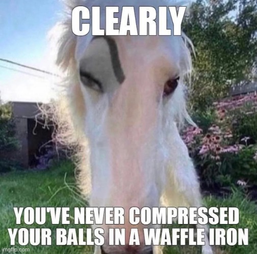 It's a great feeling | image tagged in meme,weird horse | made w/ Imgflip meme maker