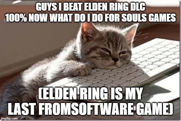 k | GUYS I BEAT ELDEN RING DLC 100% NOW WHAT DO I DO FOR SOULS GAMES; (ELDEN RING IS MY LAST FROMSOFTWARE GAME) | image tagged in bored keyboard cat | made w/ Imgflip meme maker