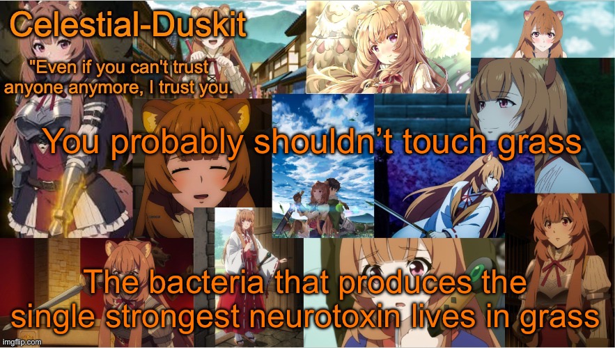 Not touching it | You probably shouldn’t touch grass; The bacteria that produces the single strongest neurotoxin lives in grass | image tagged in duskit's raphtalia template | made w/ Imgflip meme maker