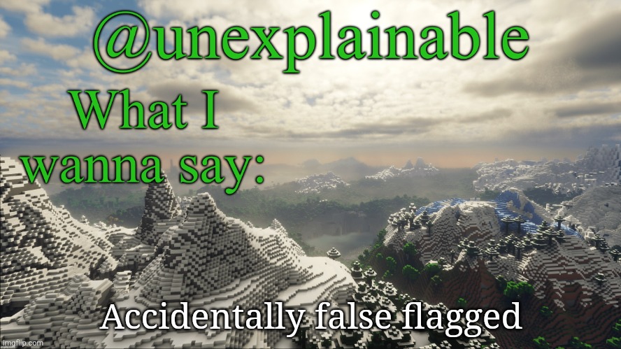 What I have to say: | Accidentally false flagged | image tagged in what i have to say | made w/ Imgflip meme maker