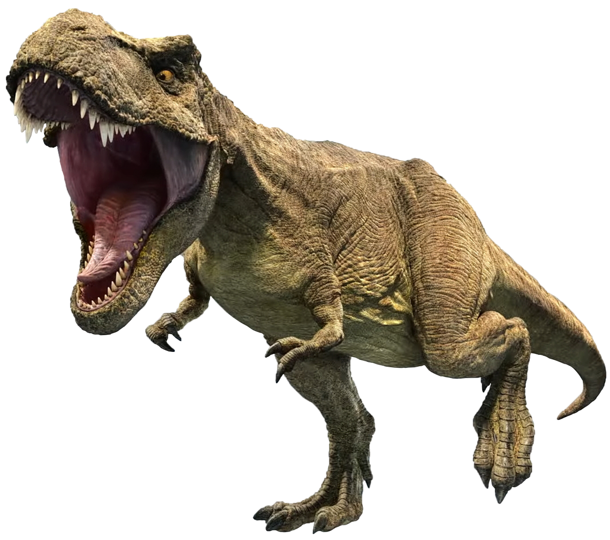Rexy 26 Blank Meme Template