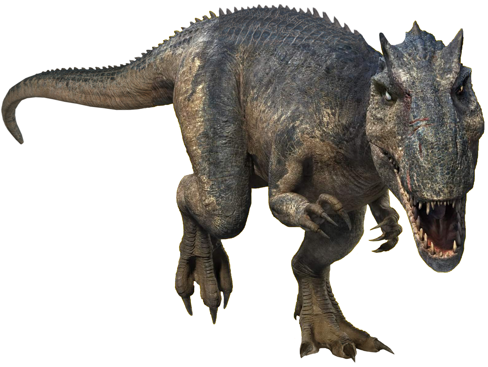 Allosaurus 13 (BABR Design) Blank Meme Template