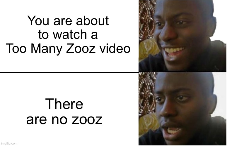 Disappointed Black Guy | You are about to watch a Too Many Zooz video; There are no zooz | image tagged in disappointed black guy | made w/ Imgflip meme maker