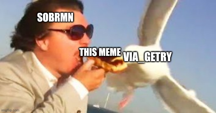 swiping seagull | SOBRMN THIS MEME VIA_GETRY | image tagged in swiping seagull | made w/ Imgflip meme maker