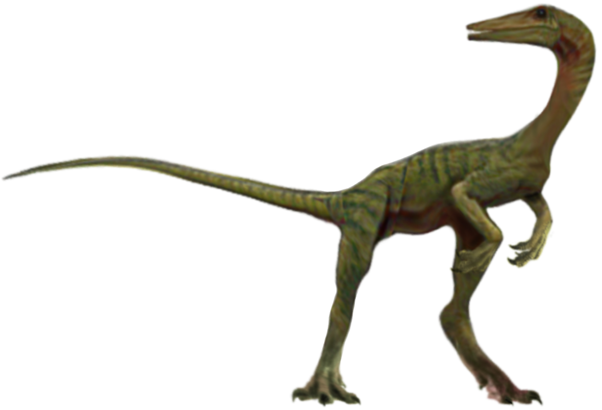 Compsognathus 7 Blank Meme Template