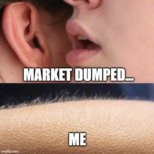 Whisper and Goosebumps | MARKET DUMPED... ME | image tagged in whisper and goosebumps | made w/ Imgflip meme maker