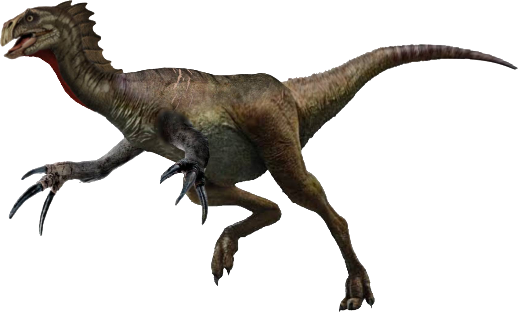 Unknown Therizinosaur Hybrid Blank Meme Template