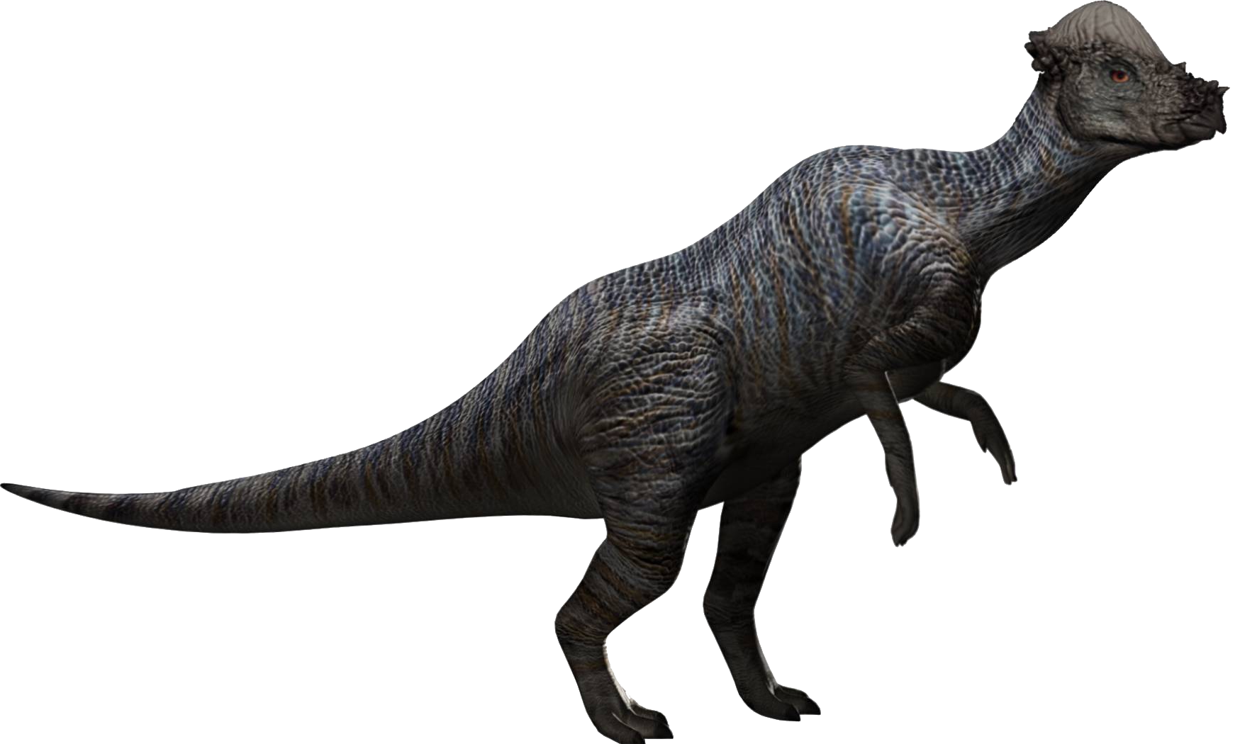 Unknown Pachycephalosaur Hybrid Blank Meme Template