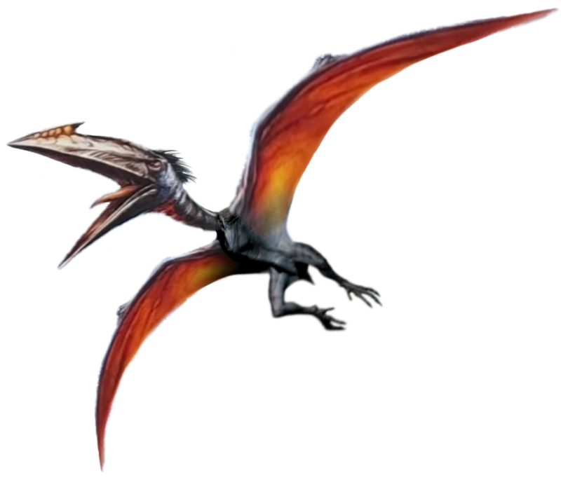 Quetzalcoatlus (JWR Design) Blank Meme Template