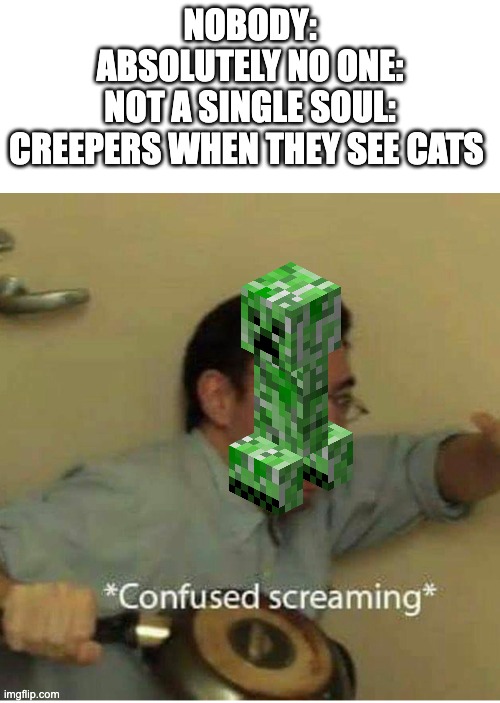 confused screaming | NOBODY:
ABSOLUTELY NO ONE:
NOT A SINGLE SOUL:
CREEPERS WHEN THEY SEE CATS | image tagged in confused screaming | made w/ Imgflip meme maker