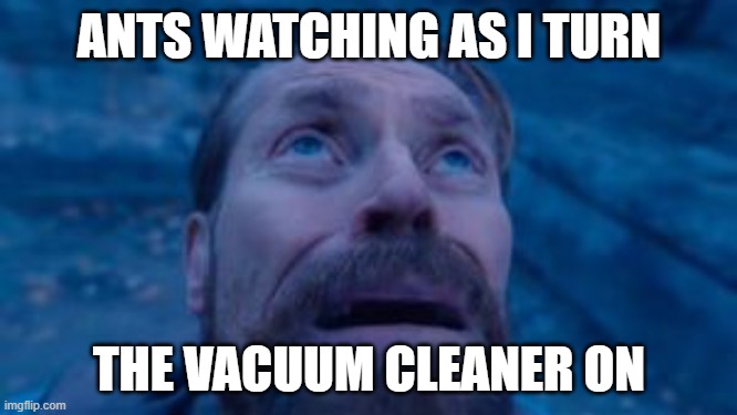 Ants Vs. My Vacuum | ANTS WATCHING AS I TURN; THE VACUUM CLEANER ON | image tagged in scared,willem dafoe looking up | made w/ Imgflip meme maker