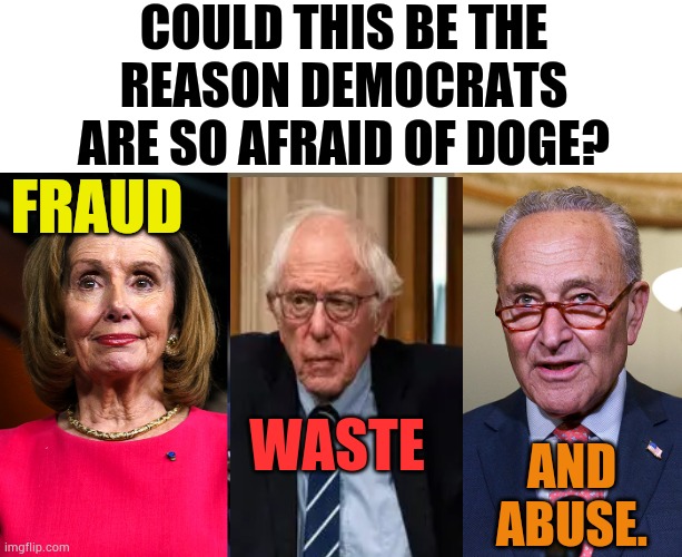 The DOGE Dislikers | COULD THIS BE THE REASON DEMOCRATS ARE SO AFRAID OF DOGE? FRAUD; WASTE; AND ABUSE. | image tagged in memes,nancy pelosi,bernie sanders,chuck schumer,afraid,doge | made w/ Imgflip meme maker