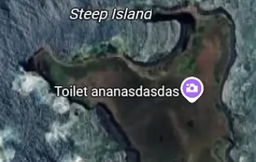 toilet ananasdasdas Blank Meme Template