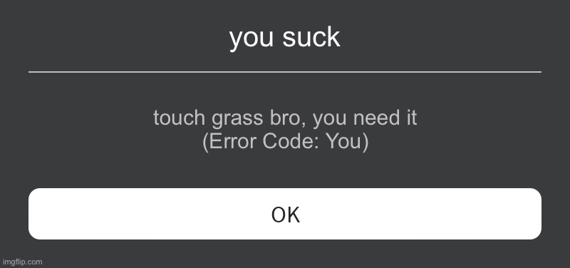 ye | you suck; touch grass bro, you need it
(Error Code: You) | image tagged in roblox error message | made w/ Imgflip meme maker