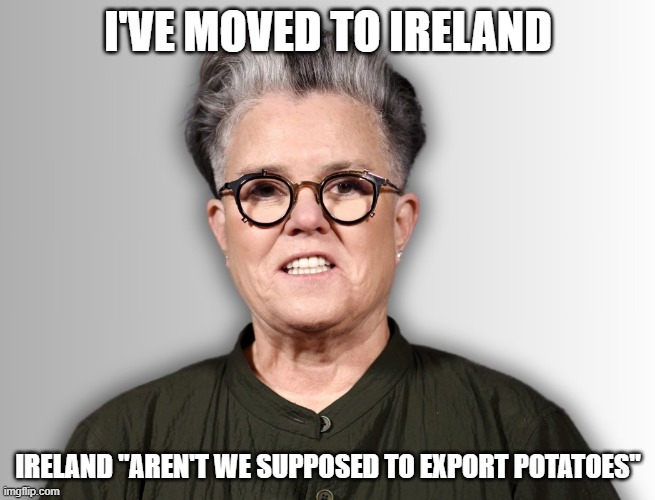 Rosie O'Donnell | I'VE MOVED TO IRELAND; IRELAND "AREN'T WE SUPPOSED TO EXPORT POTATOES" | image tagged in rosie o'donnell | made w/ Imgflip meme maker