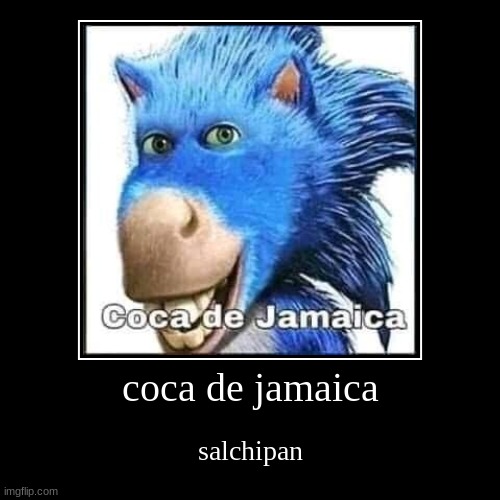 coca de jamaica | coca de jamaica | salchipan | image tagged in funny,demotivationals | made w/ Imgflip demotivational maker