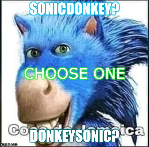 coca de jamaica | SONICDONKEY? CHOOSE ONE; DONKEYSONIC? | image tagged in coca de jamaica,memes,funny memes,donkey,sonic the hedgehog,shitpost | made w/ Imgflip meme maker