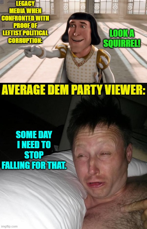Yeah . . . someday. | LEGACY MEDIA WHEN CONFRONTED WITH PROOF OF LEFTIST POLITICAL CORRUPTION:; LOOK A SQUIRREL! AVERAGE DEM PARTY VIEWER:; SOME DAY I NEED TO STOP FALLING FOR THAT. | image tagged in farquaad pointing | made w/ Imgflip meme maker