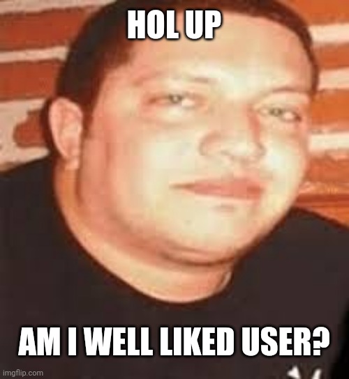 Sal is tonights biggest loser | HOL UP; AM I WELL LIKED USER? | image tagged in sal is tonights biggest loser | made w/ Imgflip meme maker
