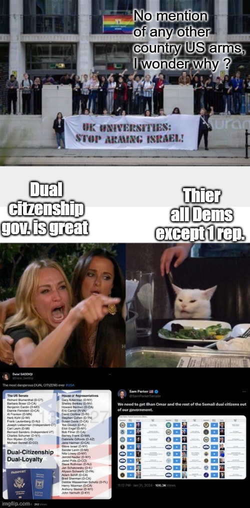 You can't serve 2 masters at once. choose a side. | No mention of any other country US arms, I wonder why ? Dual citzenship gov. is great; Thier all Dems except 1 rep. | image tagged in memes,woman yelling at cat | made w/ Imgflip meme maker