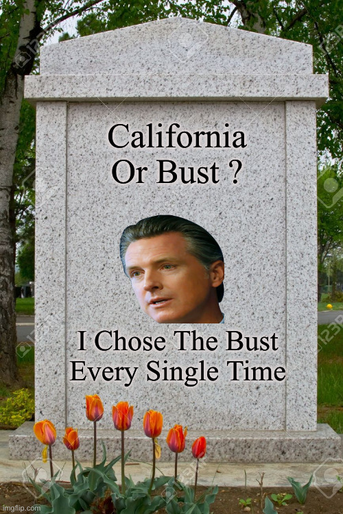 Motorboat Him Down The Coast, He Loves Mexico So Much | California Or Bust ? I Chose The Bust Every Single Time | image tagged in gavin,sellout,serial killer,serial adulterer,not worth a spit,rest in something | made w/ Imgflip meme maker