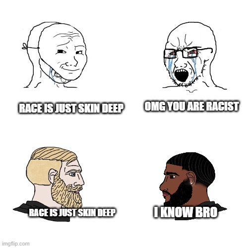 race is a social construct but ancestry is genetic | OMG YOU ARE RACIST; RACE IS JUST SKIN DEEP; I KNOW BRO; RACE IS JUST SKIN DEEP | image tagged in soy boy vs soy boy vs chad with chad,black chad | made w/ Imgflip meme maker