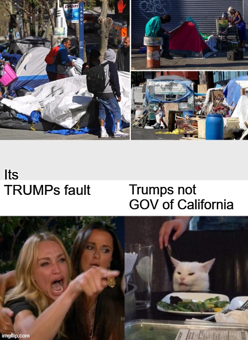 Its TRUMPs fault; Trumps not GOV of California | image tagged in memes,woman yelling at cat | made w/ Imgflip meme maker