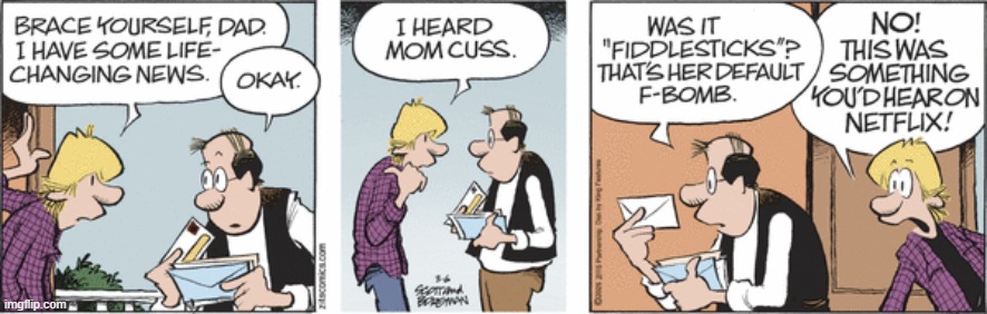 Zits | image tagged in comics | made w/ Imgflip meme maker