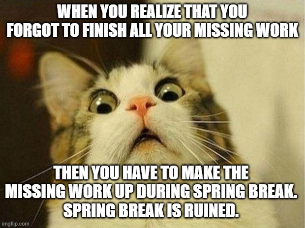 Scared Cat | WHEN YOU REALIZE THAT YOU FORGOT TO FINISH ALL YOUR MISSING WORK; THEN YOU HAVE TO MAKE THE MISSING WORK UP DURING SPRING BREAK.
SPRING BREAK IS RUINED. | image tagged in memes,scared cat | made w/ Imgflip meme maker