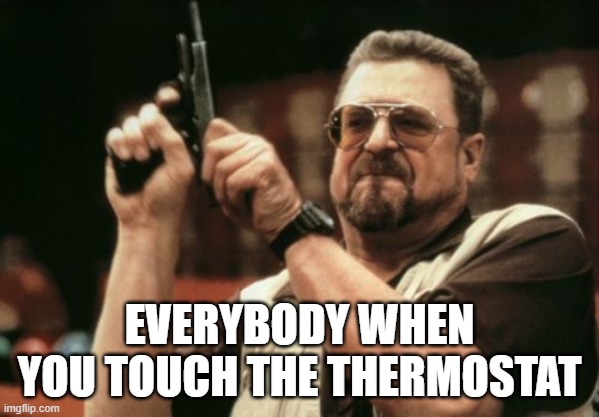 I'll never know why that makes everybody so damn angry. | EVERYBODY WHEN YOU TOUCH THE THERMOSTAT | image tagged in memes,am i the only one around here | made w/ Imgflip meme maker