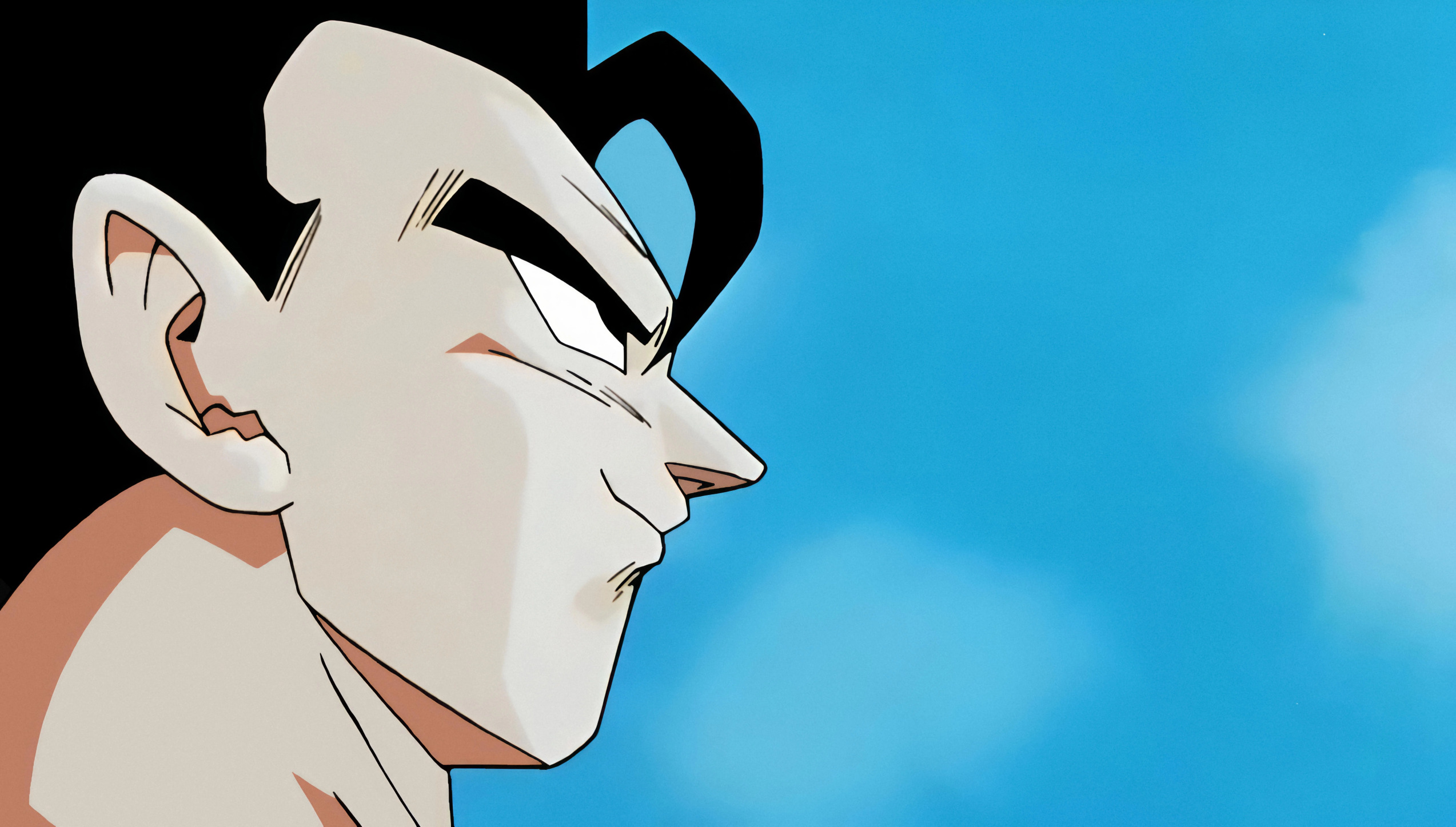 gohan sky meme Blank Meme Template