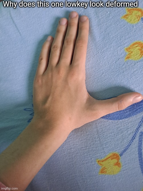 Its the thumb innit | Why does this one lowkey look deformed | made w/ Imgflip meme maker