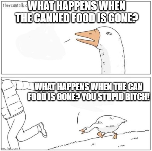 Food bank cuts | WHAT HAPPENS WHEN THE CANNED FOOD IS GONE? WHAT HAPPENS WHEN THE CAN FOOD IS GONE? YOU STUPID BITCH! | image tagged in angry goose | made w/ Imgflip meme maker