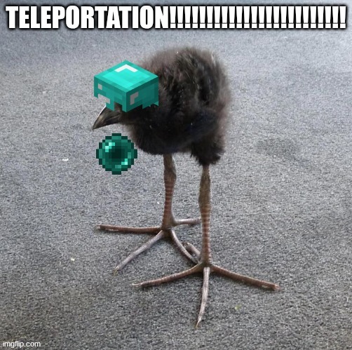 TELEPORTATION!!!!!!!!!!!!!!!!!!!!!!!!!!!!!! | made w/ Imgflip meme maker