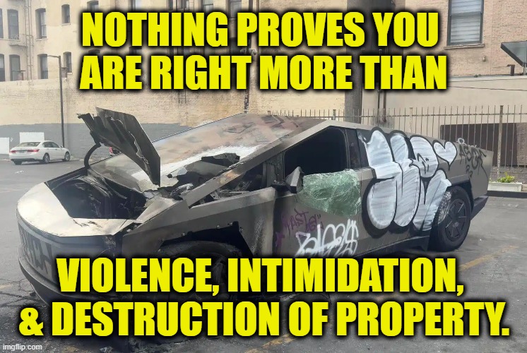 Who are the fascists again? | NOTHING PROVES YOU 
ARE RIGHT MORE THAN; VIOLENCE, INTIMIDATION,
 & DESTRUCTION OF PROPERTY. | image tagged in leftists | made w/ Imgflip meme maker